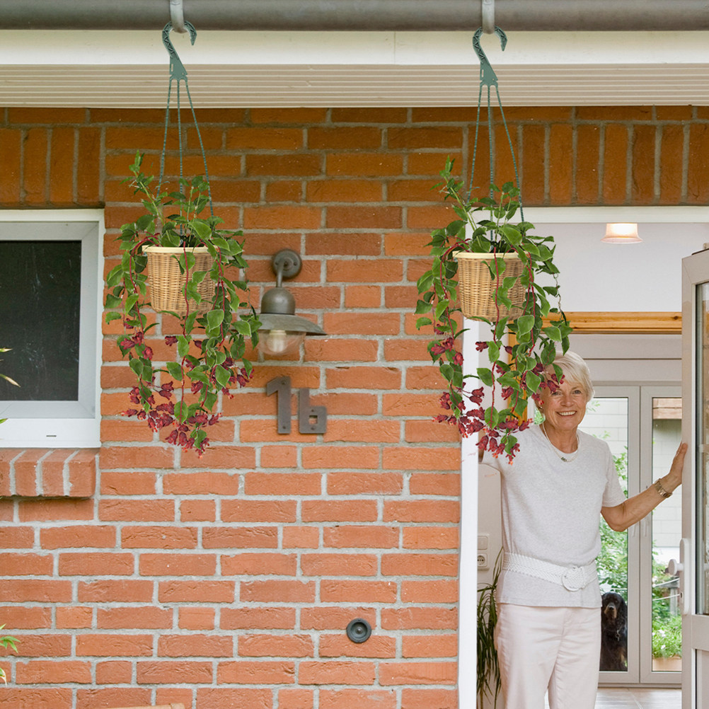 5個セットの吊り下げ式プランターフック、省スペース円形プラン - Spider Plant Hanging のレビューと価格